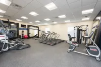 Hampton Inn & Suites Chicago/Schaumburg - Gym