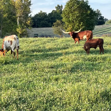 Cozy 3-bedroom cottage encased by expansive country pastures!