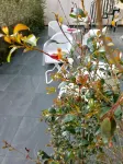 Etna Holidays Home Sere