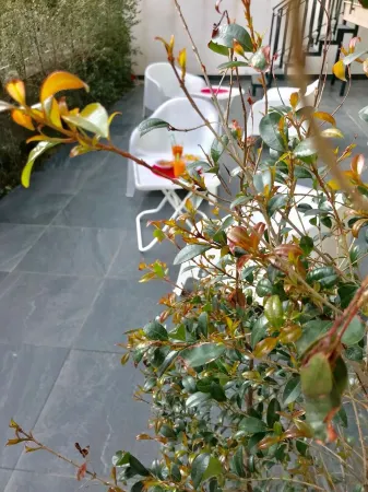 Etna Holidays Home Leo