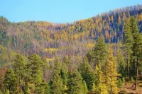 Mountain Lodge