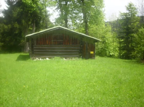Comfortable large apartments, centrally located, surrounded by nature, friendly