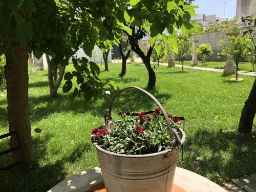 WINERY 1700 historic maison with private pool and big garden Hotels in Poggiardo