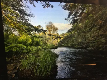 Beautiful Home on Pine Creek Backs up to Lyman Run State Park & the PA Wilds!!!!