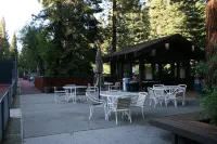 Luxury Re-modeled Lake Front, Stunning Views - Private beaches, piers, hiking
