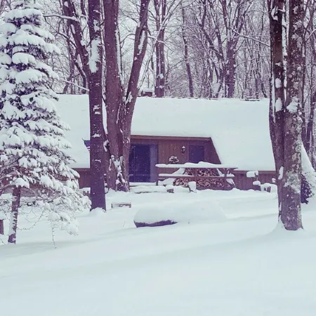 Seven Springs Cabin - Luna Chalet - Authentic, Pet Friendly Log Cabin