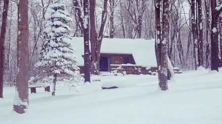 Seven Springs Cabin - Luna Chalet - Authentic, Pet Friendly Log Cabin