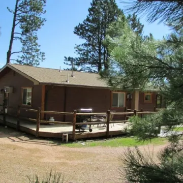 Tin Mill Cottage on a quiet wooded lot, walking distance to downtown!