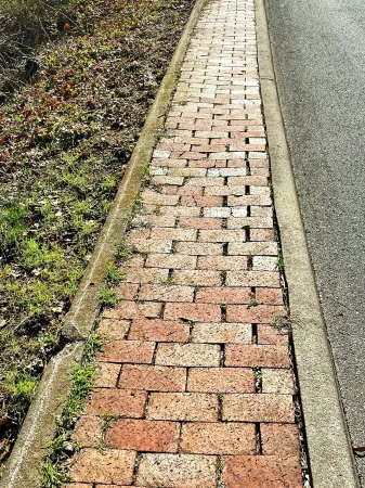 Sweet Darling House: Enchanting historic home; walkable to downtown Отели рядом с достопримечательностью «Университет Мэри Болдуин»