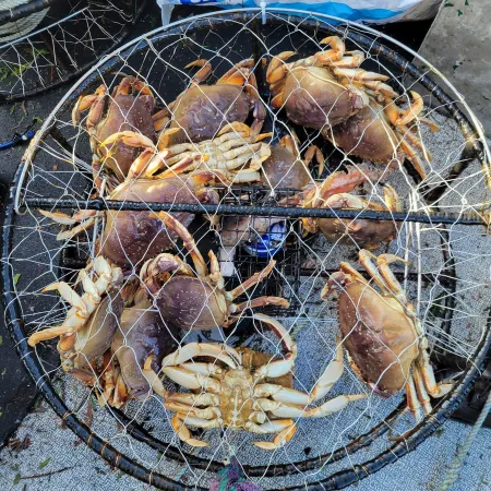 Panoramic Ocean Views! Large groups, pet friendly, game room.