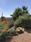 Catalina Dream Home has Southwest Style & Mountain Views. Pool. 3bd 2bath