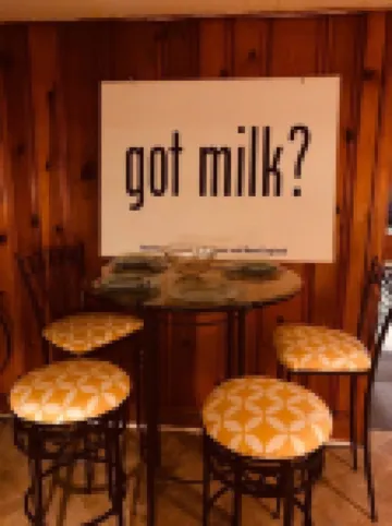 Yellow Submarine trendy basement apt and courtyard