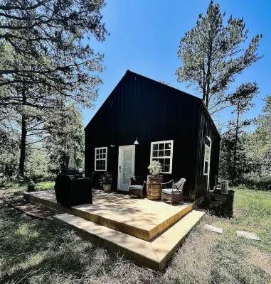 Cozy 2 bedroom cabin nestled in the pines - Homestays
