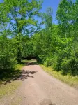 Little house in the woods but only 5 minutes from town!