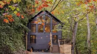 Private and Secluded Pet friendly cabin in the Smokies! 2bed/2bath