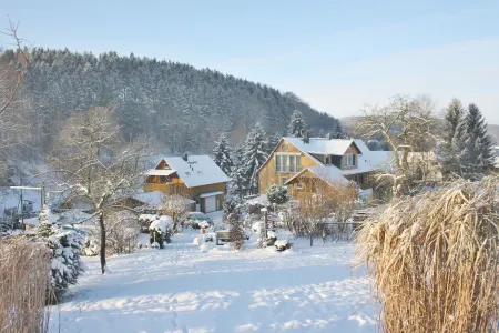 Vacation in Saxon Switzerland Garden Pool Stove