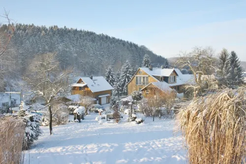 Vacation in Saxon Switzerland Garden Pool Stove