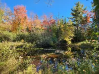 Private hideaway home with the best nature views. Short drive to coastal views