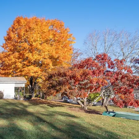 Cozy 1-bedroom condo in charming Flat Rock.