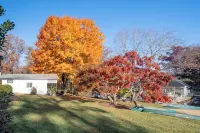 Cozy 1-bedroom condo in charming Flat Rock. Hotels near Firefly Craft Gallery