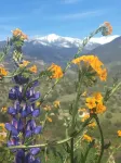 Spa, 5 minutes from Sequoia National Park. Spacious, convenient and private.