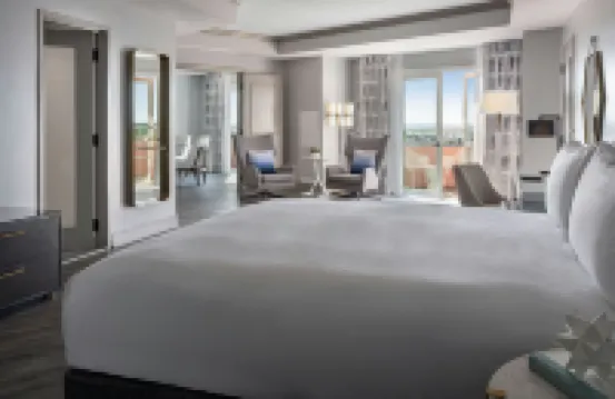 The Vinoy Resort & Golf Club, Autograph Collection