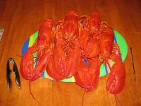 Exquisite Waterfront Home near Acadia - GREAT PRICES