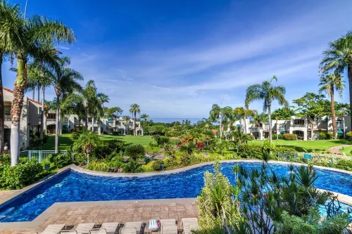 1206 The Palms-Wailea. Owner Direct. Car available.  The reviews say it all