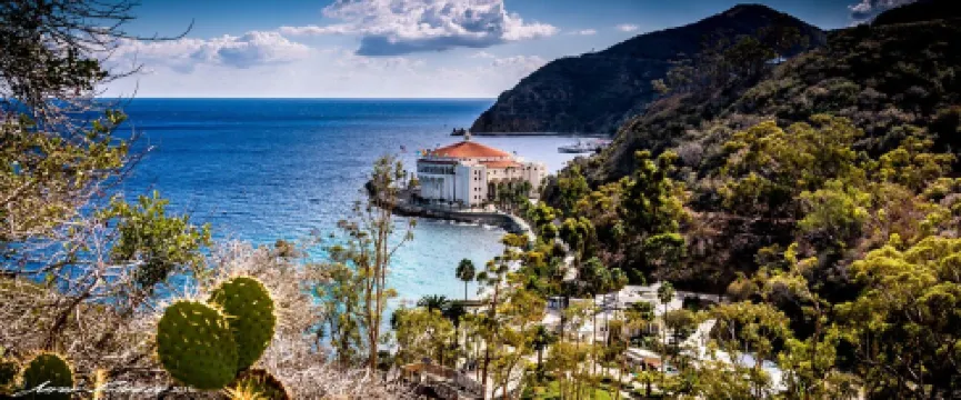 Spacious Hamilton Cove Condo With Golf Cart Included.