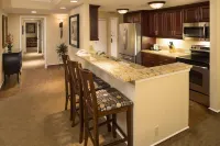 Beautiful Two Bedroom Condo w/ all the amenities! Hotels in Palm Harbor