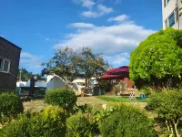 江陵安仁民宿 林海自然休養林附近的飯店