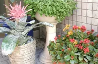 Business Hotel Tenmonkan