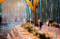 Alpaca Treehouse in the Bamboo Forest