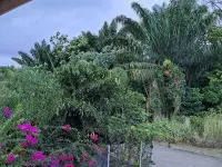 Hello Appart Confort et Modernité sur Rémire-Montjoly Hotels in 