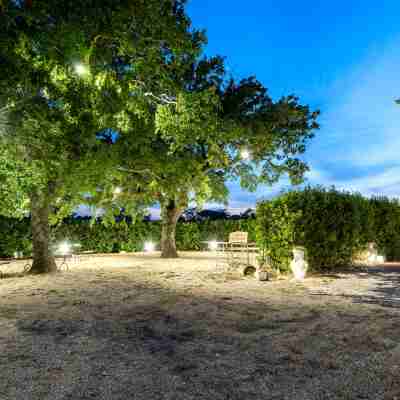 Romantic Trullo in Ancient Farm with Pool and Tennis Court Hotel Exterior