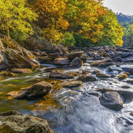 Back to Nature by Jackson Mountain Rentals