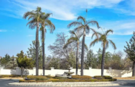 3-bedroom Luxury apartment