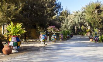 Diamarek Hotel Sur la Plage