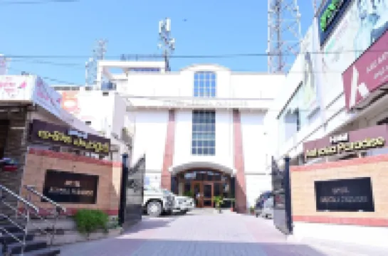 Hotel Ashoka Paradise Hotels near Sri Nettikanti Anjaneya Swamy Vari Temple Kasapuram