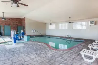 Comfort Inn & Suites Near Fallon Naval Air Station - Kolam Renang