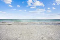 펠리칸 포인트 4C