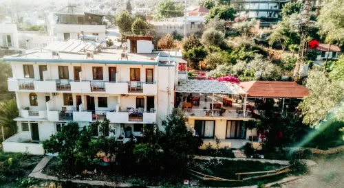 يوكاليبتس بينشن من الخارج Photos