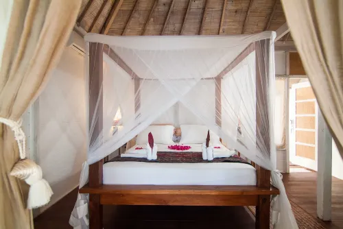 Coral Flora Villa Beach Front - Pet friendly