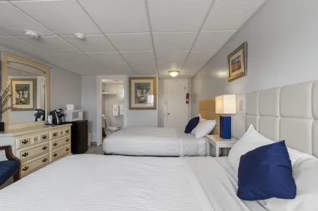 Mt Royal Motel Отели рядом с достопримечательностью «Палас Плейленд»