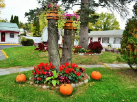 Williamstown Motel Hotels in Williamstown