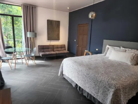 阿瑪阿蘇爾飯店 住宿飯店