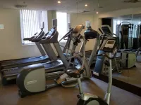 Hotel Royal Orchid Jaipur, Tonk Road - Spor Salonu