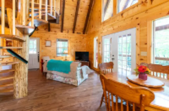 Pet-Friendly & Great Location - Tiny Cabin - Pine Point - Red River Gorge, Kentucky!