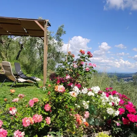 Podere le Sorelle-Country House 6 km from the Center of Lucca