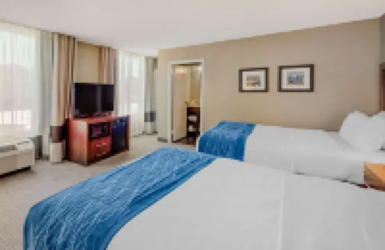 Comfort Inn Elizabeth City Near University